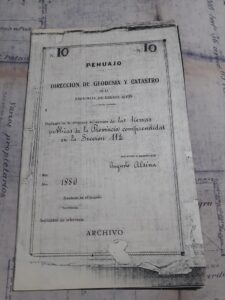 Expediente 10, de la sección 11 mensurada por A. Alsina en 1880, con la que  comenzó  a formarse el partido de Pehuajó